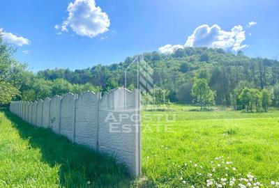 Teren intravilan, partial imprejmuit, eligibil grant- Pojoga, com. Zam - 8