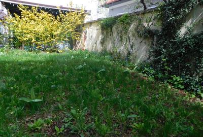 Apartament cu 5 camere, curte si gradina - 9