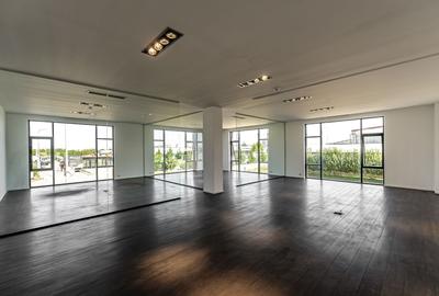 Birouri Premium de 304 mp în Zona Industrială Vest Arad - 5