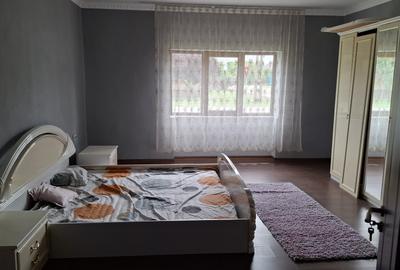 Casa 3 camere  recent renovata in Nadlac - 6