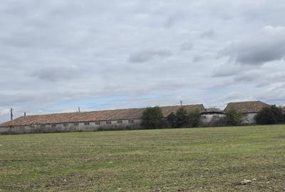 Amzacea- sat G.Scarisoreanu -Ferma zootehnica , 5.1 ha - 1