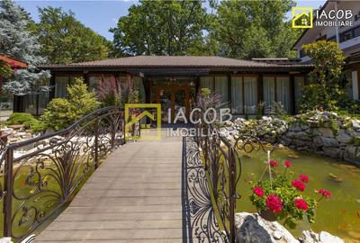 Popas Dumbravita, DN23 Focsani - Galati/Braila - 19