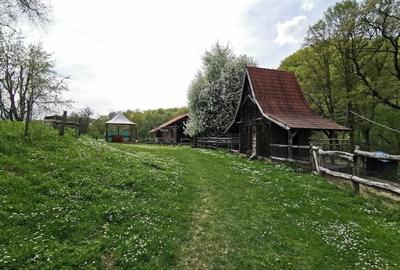 Oportunitate, Restaurant cu MiniPensiune 800mp, 1,8ha teren, Via Transilvanica - 18