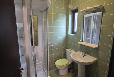 Inchiriere Vila P+1 Paradisul Verde Corbeanca (Direct Proprietar) - 13