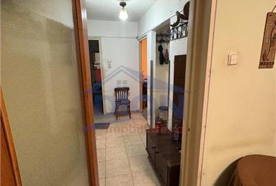 APARTAMENT 2 CAM, DRISTOR BABA NOVAC - 13