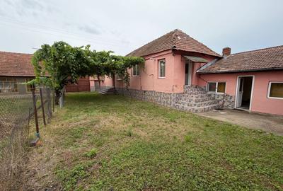 Casa de vanzare 255mp utili, 1974mp teren - Balomir - 1