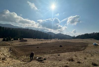 Teren de vanzare in Poiana Brasov - INTRAVILAN - 1