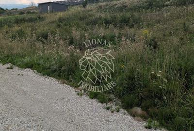 Teren 1000 mp cu utilitati-ideal casa, cabana, investitie-Dealul Jelnei - 4