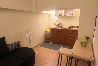 Apartament superb, tot  etajul 1+garsoniera Dorobanti, in vila cu curte si garaj - 15