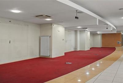 Inchiriere spatiu comercial Pantelimon - Piata Delfinului, Bucuresti - 12