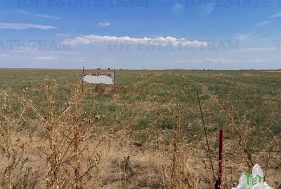 Teren agricol intravilan de 5619 mp, în Exterior Sud