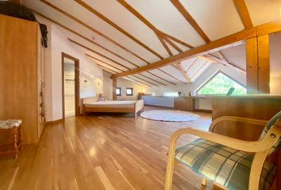 Vila de lux lângă Curtea Domnească – investiție premium Târgoviște, teren 1.700 - 55