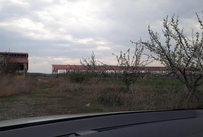 De vanzare Ferma Vaci - 3