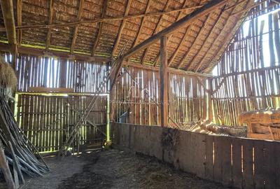 Casa de vanzare in Daia, jud Mures - 27