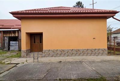COMISION 0% CASA VECHE CU TEREN GENEROS DUMBRAVITA VATRA VECHE - 2
