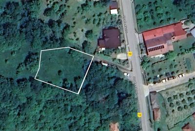 Teren 3300mp Salatrucel Valcea intravilan cu curent trifazat 380V - 1