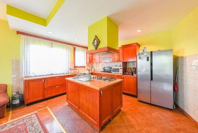 Vila/Proprietate Speciala, 500mp utili, 3300mp teren, Sangeorgiu de Ms - 3