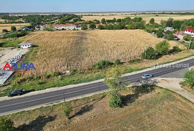 AZURA Imobiliare - Teren la DN7 langa Gaesti, Crangurile - Badulesti - 20