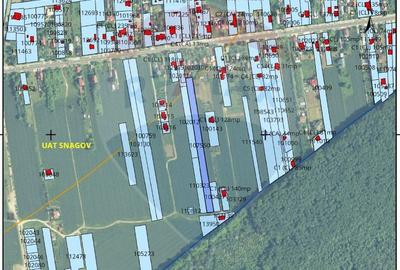 Teren intravilan de vanzare in Vladiceasca, 4370 mp, ideal investitie