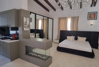 PENTHOUSE DUPLEX HERASTRAU MOBILAT SI UTILAT MODERN | LOC PARCARE - 28