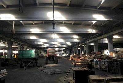 SPATIU INDUSTRIAL - CODLEA - 3