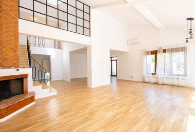 Vanzare Vila cu piscina Iancu Nicolae - 4