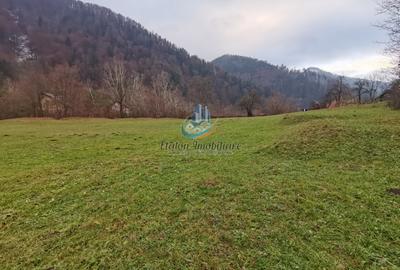 Teren Straja – Pangarati 3560 m, zona de Pensiune - 8