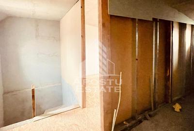 Casa “la gri” cu gradina, zona Calea Aurel Vlaicu - Bujac - 21