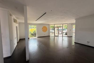Spatiu comercial cu terasa, Constantin Brancusi - 7