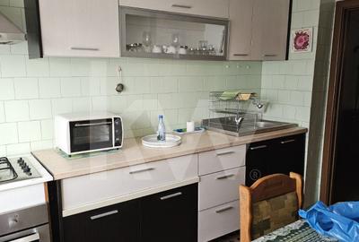 Apartament Decomandat  3 Camere-George Enescu - 3
