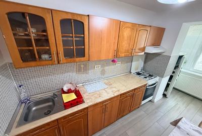 2 camere| zona Titulescu-Nokia| vis a vis de malul Bega| Pet Friendly| - 16