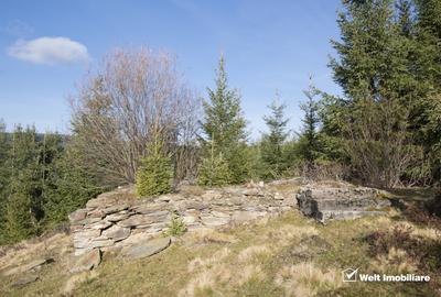 Eco Retreat Land in Apuseni Romania - Poiana Horea - 13