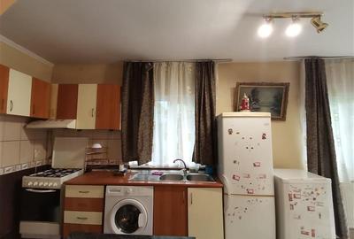 Bucurestii Noi, apartament 2 camere la curte - 9
