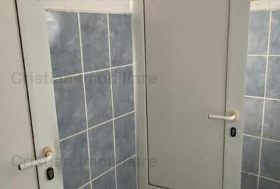 Vanzare sau inchiriere Cladire cadre beton  743 mp Movila Miresii teren 7354 mp - 12