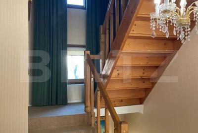 Casa 5 camere + Garaj, anexa si 650 mp - Valea Adanca - 19