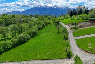 Teren intravilan intre 500 si 1000 mp   in zona Bran - 9