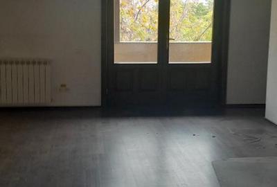 Piata Muncii-Calea Calarasilor, vila 500mp /12 camere, curte 150 mp - 6