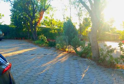 Apartament cu 4 camere, mobilat în Băneasa