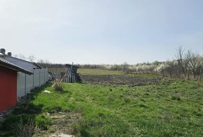 Loc de casa Silistea - Stauceni - 2