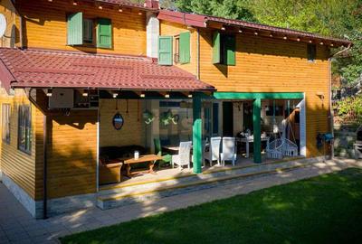Casa de vacanta superba in Crivaia - 19