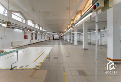 De vânzare Hală 1450mp producti industrial 15000mp teren Călan Jud. Hd - 7