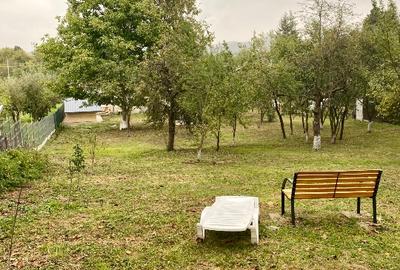 Casa cu teren 2105 m2 Campina, zona rezidentiala - 9