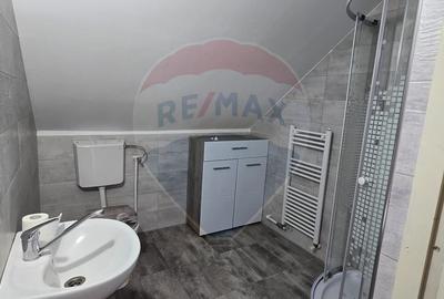 Casa cu mansarda in MIȘCA  jud Arad - 21