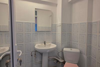 Calea Vacaresti,Parcul Tineretului - 10