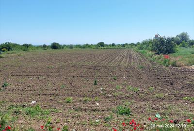 Teren  intravilan  540 mp / Vama Veche - 1