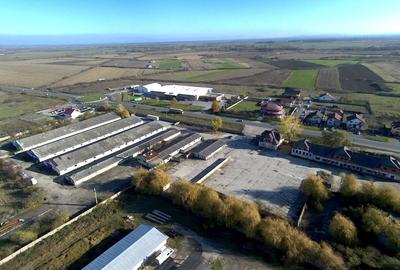 Hala pt depozitare 600 si 1200mp in Remetea Mare! Acces TIR - la sosea - 3