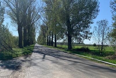 Teren Construcții extravilan de 120000 mp, în Afumați