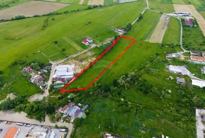 Teren industrial intravilan 9.810 mp – Bascov, acces A1, E81 - 3