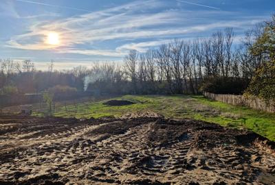 Teren Simnicu de Sus- Iesire la drum national -Toate utilitatile - 1