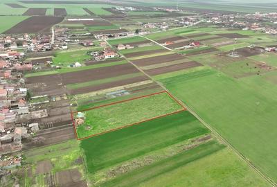 RECO Teren intravilan Girisu de Cris - 1